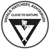 Vayalil Hatchery